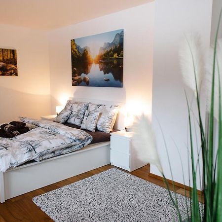90 M2 Horsky Apartman V Centru Harrachova מראה חיצוני תמונה