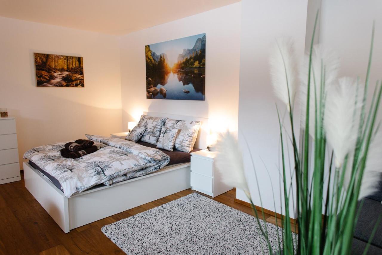 90 M2 Horsky Apartman V Centru Harrachova מראה חיצוני תמונה